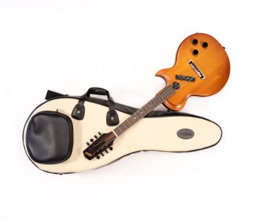 Mandolin Gig Bags - Image 3